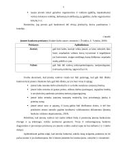 Įmonės bankroto prognozavimas 5 puslapis