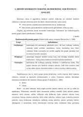 Įmonės bankroto prognozavimas 8 puslapis