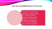 Jaunas darbuotojas geriau negu senas? Skaidrės 4 puslapis