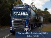 Scania skaidrės