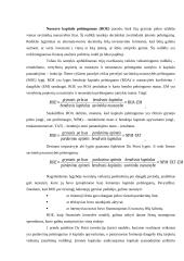 Pelningumo analizės teorijos pagrindai 11 puslapis