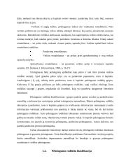 Pelningumo analizės teorijos pagrindai 4 puslapis