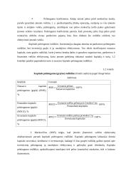 Pelningumo analizės teorijos pagrindai 8 puslapis