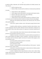 Finansų baigiamosios profesinės veiklos praktikos ataskaita  13 puslapis