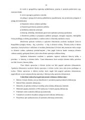 Finansų baigiamosios profesinės veiklos praktikos ataskaita  14 puslapis