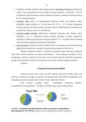 Finansų baigiamosios profesinės veiklos praktikos ataskaita  16 puslapis