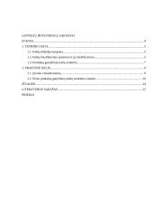 Gamybinių įmonių apskaitos ypatybės ir produktų gamybinių kaštų struktūra bei analizė 2 puslapis