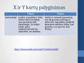 X Y ir Z kartos 11 puslapis