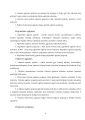 Lietuvos švietimo struktūros apžvalga 3 puslapis