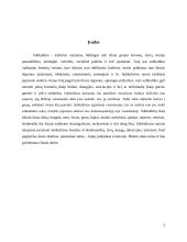 Subkultūra. Hipių judėjimas Lietuvoje 3 puslapis