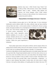 Subkultūra. Hipių judėjimas Lietuvoje 6 puslapis
