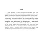 Subkultūra. Hipių judėjimas Lietuvoje 9 puslapis