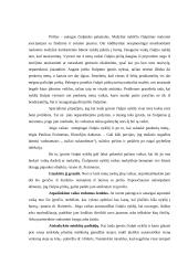 Vaiko jutiminių organų lavinimas 11 puslapis