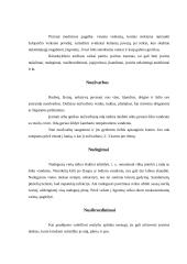 Vaiko jutiminių organų lavinimas 6 puslapis