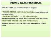 Vadybos skaidrės apie organizaciją 12 puslapis