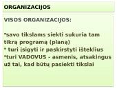 Vadybos skaidrės apie organizaciją 14 puslapis
