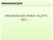 Vadybos skaidrės apie organizaciją 15 puslapis
