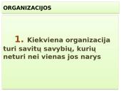 Vadybos skaidrės apie organizaciją 16 puslapis