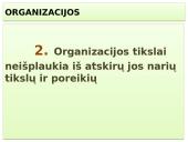 Vadybos skaidrės apie organizaciją 17 puslapis