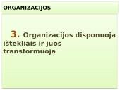 Vadybos skaidrės apie organizaciją 18 puslapis