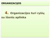 Vadybos skaidrės apie organizaciją 19 puslapis