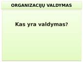 Vadybos skaidrės apie organizaciją 20 puslapis