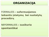 Vadybos skaidrės apie organizaciją 3 puslapis