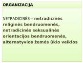 Vadybos skaidrės apie organizaciją 5 puslapis
