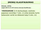 Vadybos skaidrės apie organizaciją 8 puslapis