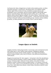 Saugus elgesys su šunimis 3 puslapis