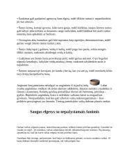 Saugus elgesys su šunimis 5 puslapis