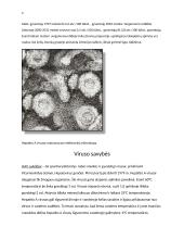 Hepatitas A 5 puslapis