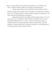 Ekonominių rodiklių skaičiavimas 18 puslapis