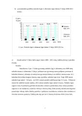 Ekonominių rodiklių skaičiavimas 7 puslapis