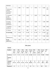 Veterinarijos ligoninė „Augintinio rojus“ 16 puslapis
