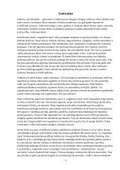 Veterinarijos ligoninė „Augintinio rojus“ 4 puslapis