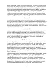 Veterinarijos ligoninė „Augintinio rojus“ 8 puslapis