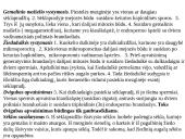 Augalų karalystė skaidrės 17 puslapis