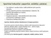 Augalų karalystė skaidrės 7 puslapis