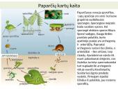 Augalų karalystė skaidrės 9 puslapis