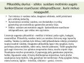 Augalų karalystė skaidrės 10 puslapis