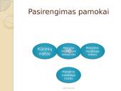 IKT taikymas ugdomajame procese 4 puslapis