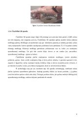 3D spausdinimo galimybės 7 puslapis
