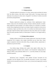 Privalomojo sveikatos draudimo IĮ „Smagumėlis“ verslo planas 11 puslapis