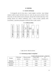 Privalomojo sveikatos draudimo IĮ „Smagumėlis“ verslo planas 13 puslapis