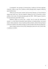 Privalomojo sveikatos draudimo IĮ „Smagumėlis“ verslo planas 6 puslapis