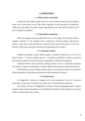 Privalomojo sveikatos draudimo IĮ „Smagumėlis“ verslo planas 8 puslapis