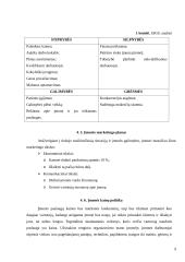 Privalomojo sveikatos draudimo IĮ „Smagumėlis“ verslo planas 9 puslapis