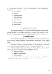 Privalomojo sveikatos draudimo IĮ „Smagumėlis“ verslo planas 10 puslapis