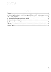 Excel užduočių ataskaita 2 puslapis